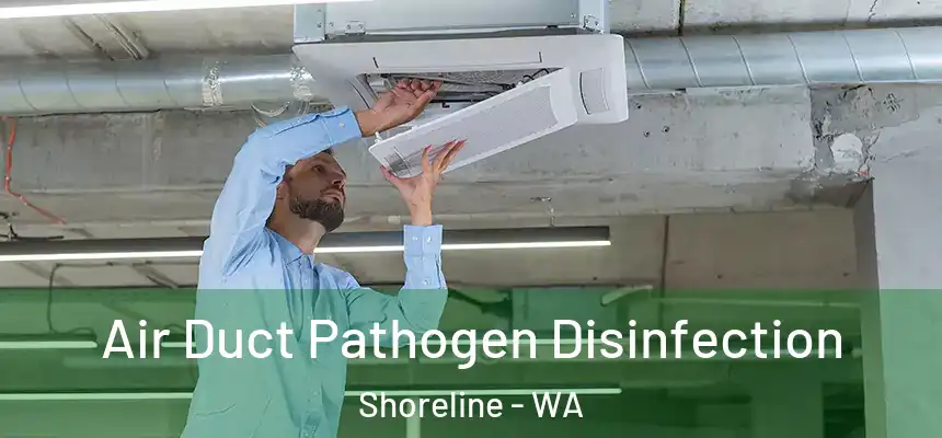  Air Duct Pathogen Disinfection Shoreline - WA