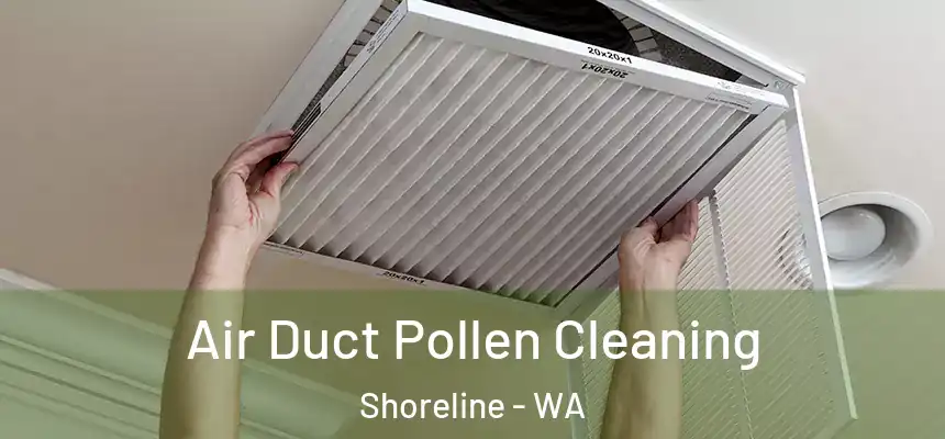 Air Duct Pollen Cleaning Shoreline - WA