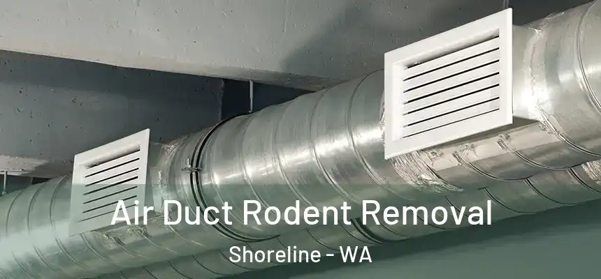  Air Duct Rodent Removal Shoreline - WA