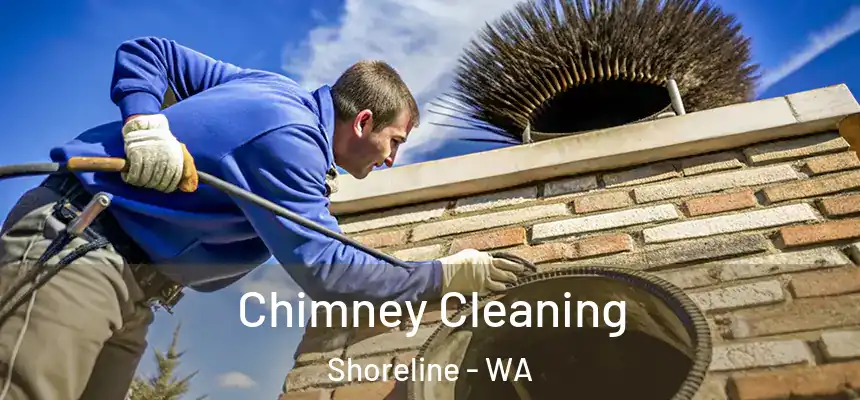 Chimney Cleaning Shoreline - WA