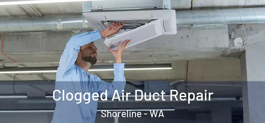  Clogged Air Duct Repair Shoreline - WA