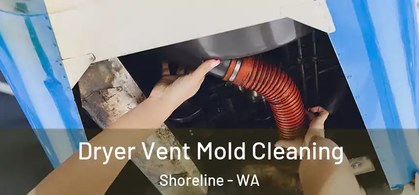  Dryer Vent Mold Cleaning Shoreline - WA