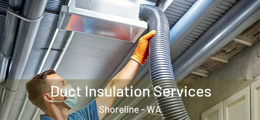 Duct Insulation Services Shoreline - WA