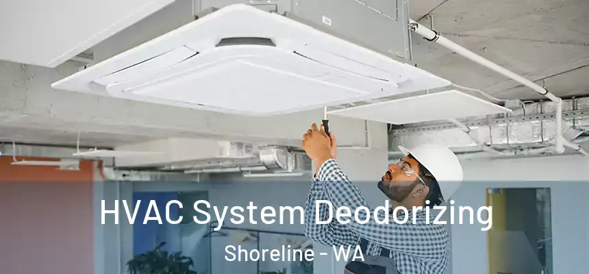 HVAC System Deodorizing Shoreline - WA