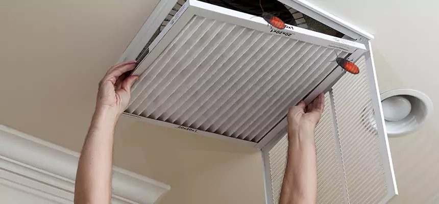 Preventive Cockroach-Proofing for Ducts in Shoreline