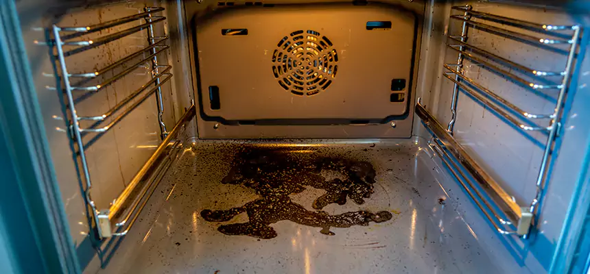 Our Dryer Vent Mold Cleaning Services in Shoreline, WA