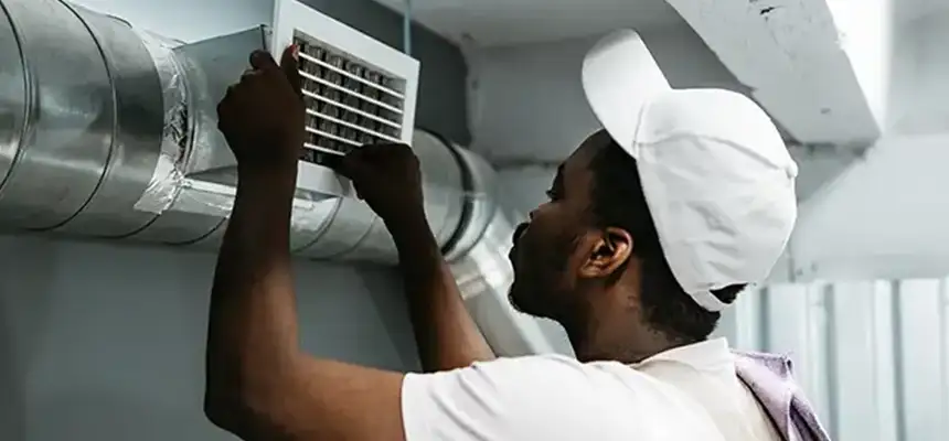 Our Licensed And Insured Cleaners in Shoreline, WA