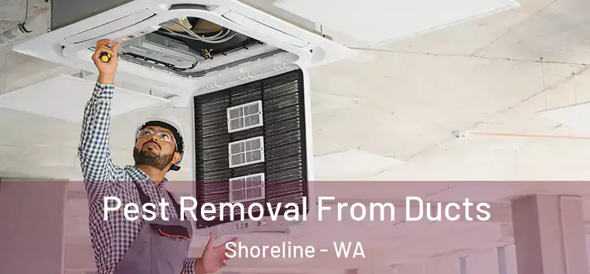 Pest Removal From Ducts Shoreline - WA