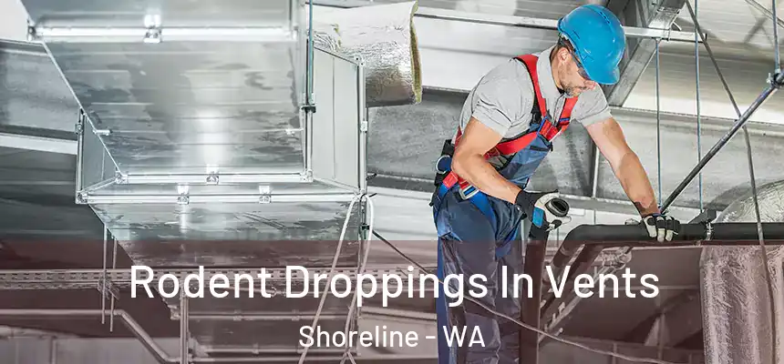  Rodent Droppings In Vents Shoreline - WA