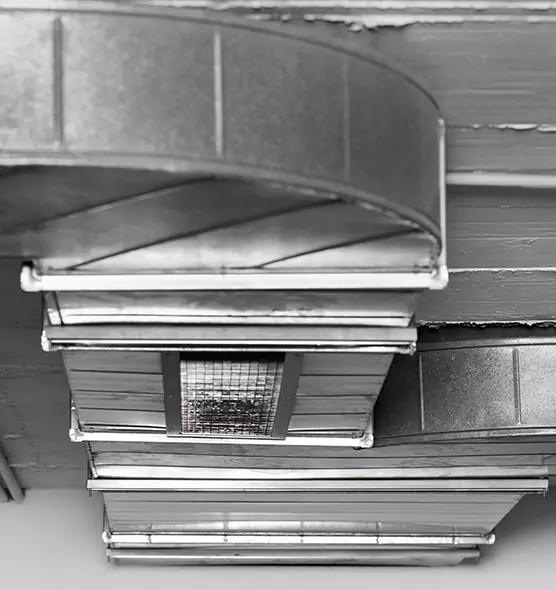 Professional Air Duct Pest Removal in Shoreline, WA