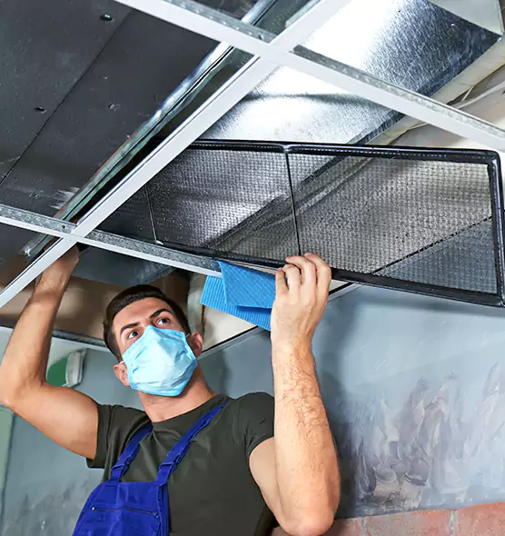 Professional Air Duct Pollen Cleaning in Shoreline, WA