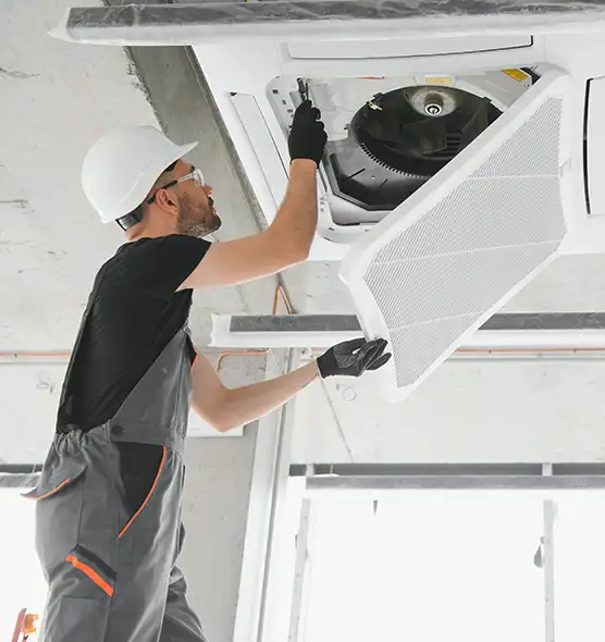 About Air Duct Rodent Removal in Shoreline, WA