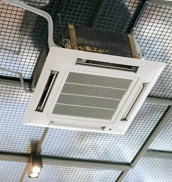 Top-Notch Allergy Relief Vent Cleaning Services in Shoreline, WA