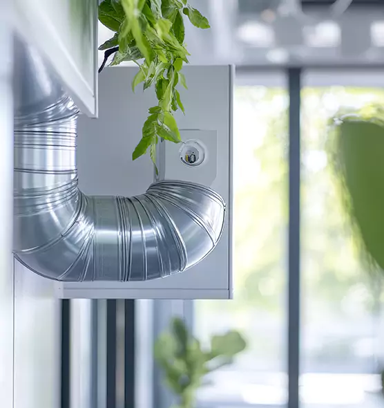 Professional Eco-Friendly Duct Cleaning Services in Shoreline, WA