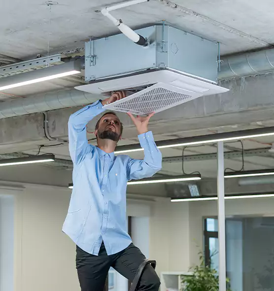 Advanced Rodent Droppings In Vents in Shoreline, WA