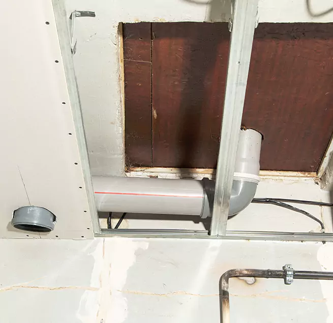 Why Homeowners & Businesses Trust Us in Shoreline, WA?