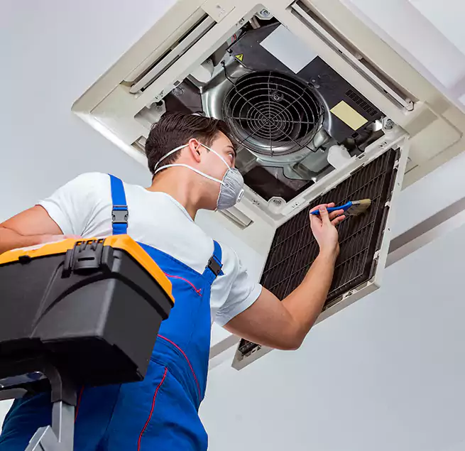 Why Homeowners & Businesses Trust Us in Shoreline, WA