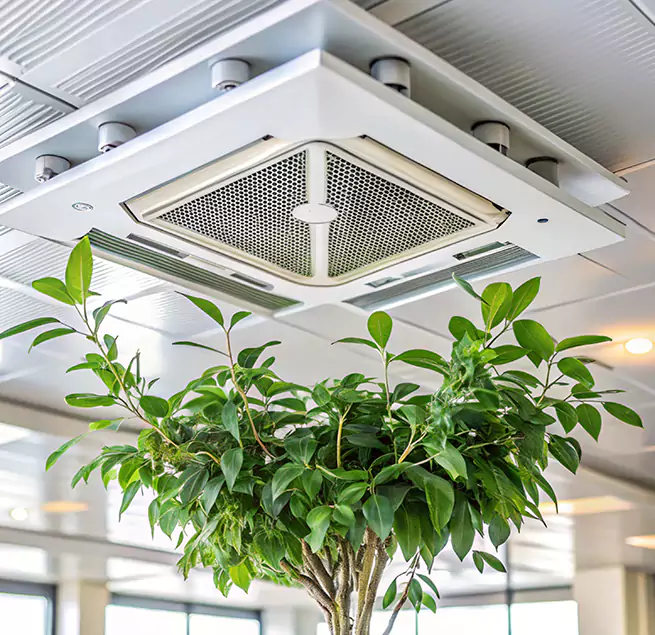 Why Homeowners & Businesses Trust Us in Shoreline, WA