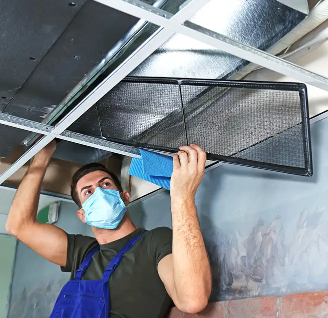 Why Homeowners & Businesses Trust Us in Shoreline, WA?