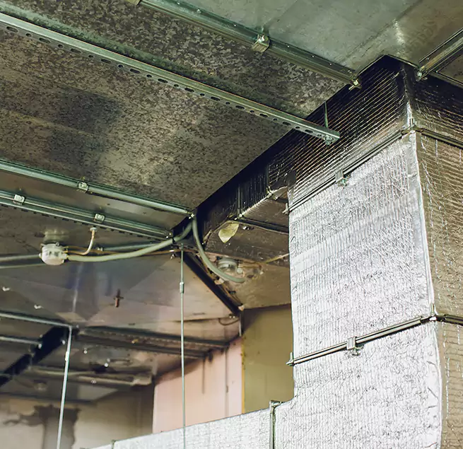 Why Homeowners & Businesses Trust Us in Shoreline, WA?