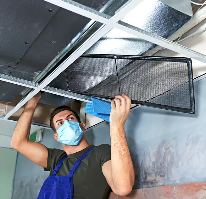 Why Homeowners Businesses Trust Us in Shoreline, WA?